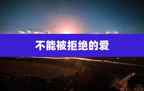 不能被拒绝的爱