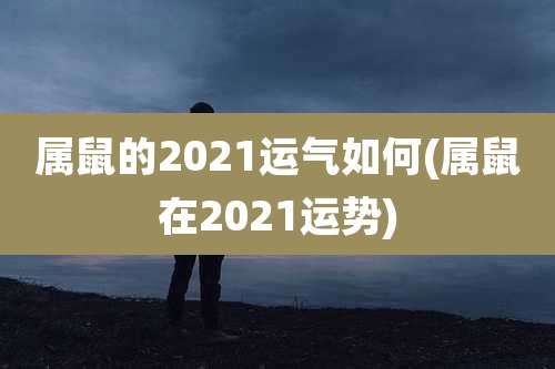 属鼠的2021运气如何(属鼠在2021运势)