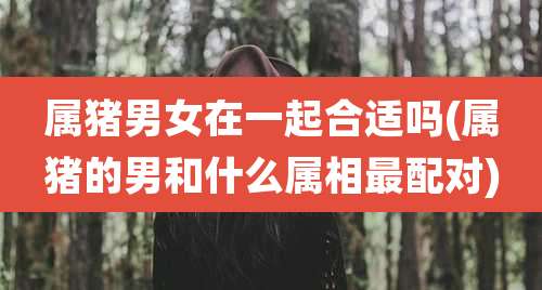 属猪男女在一起合适吗(属猪的男和什么属相最配对)