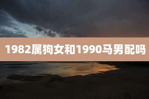 1982属狗女和1990马男配吗