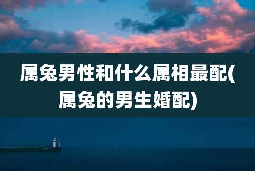 属兔男性和什么属相最配(属兔的男生婚配)