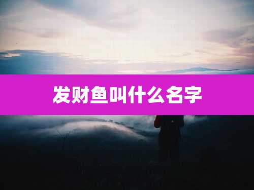 发财鱼叫什么名字