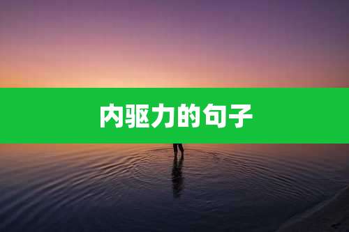 内驱力的句子