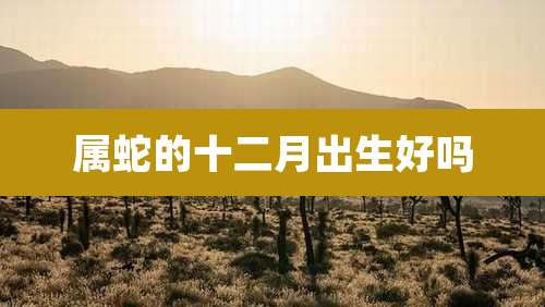 属蛇的十二月出生好吗