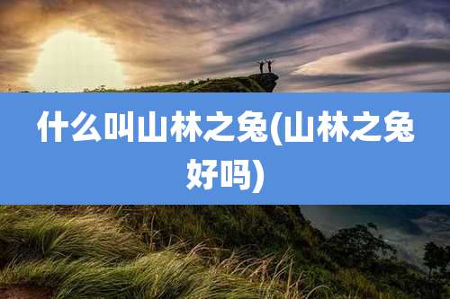 什么叫山林之兔(山林之兔好吗)