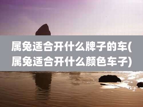 属兔适合开什么牌子的车(属兔适合开什么颜色车子)