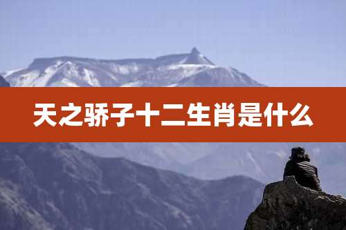 天之骄子十二生肖是什么