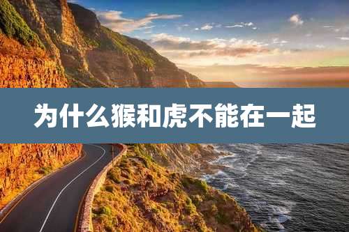 为什么猴和虎不能在一起