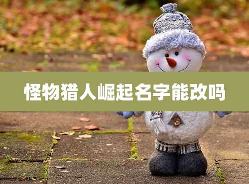 怪物猎人崛起名字能改吗