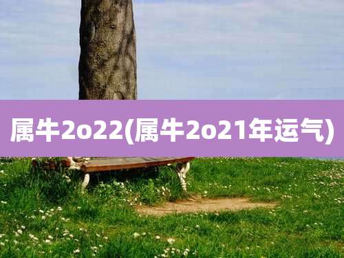 属牛2o22(属牛2o21年运气)