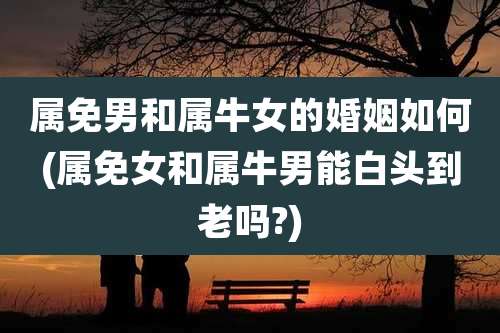 属免男和属牛女的婚姻如何(属免女和属牛男能白头到老吗?)