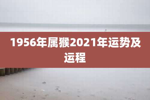 1956年属猴2021年运势及运程