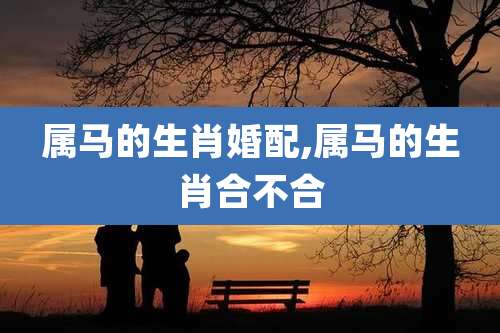 属马的生肖婚配,属马的生肖合不合