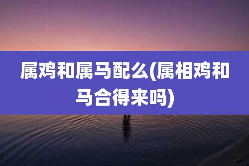 属鸡和属马配么(属相鸡和马合得来吗)