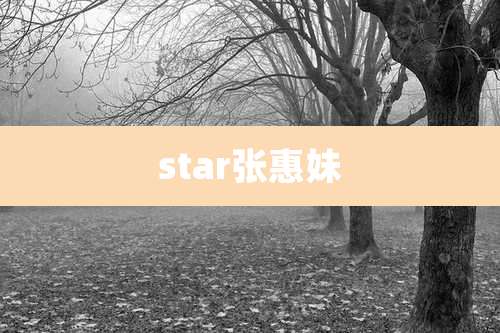 star张惠妹