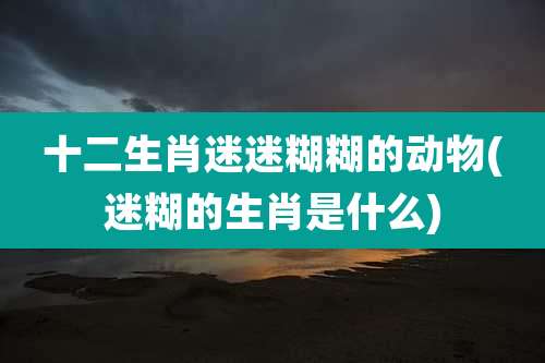 十二生肖迷迷糊糊的动物(迷糊的生肖是什么)