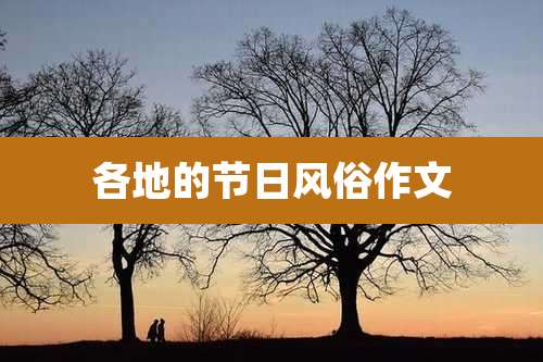 各地的节日风俗作文
