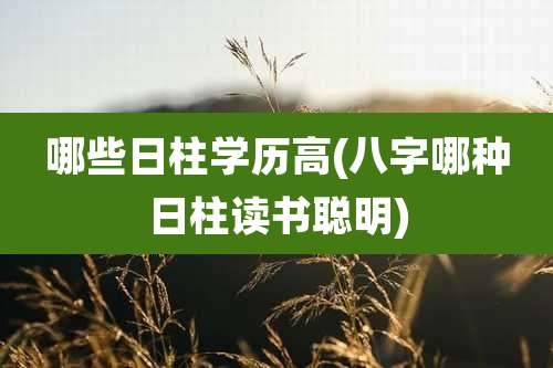 哪些日柱学历高(八字哪种日柱读书聪明)
