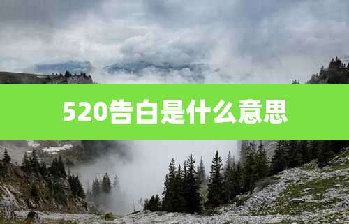 520告白是什么意思