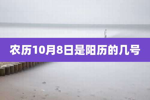 农历10月8日是阳历的几号