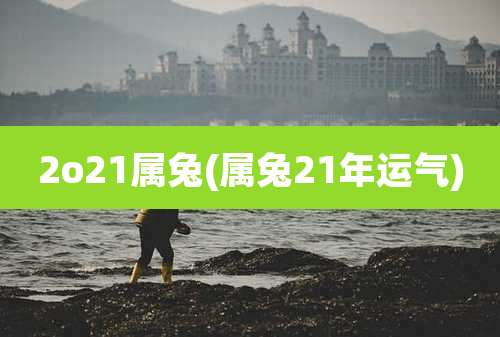 2o21属兔(属兔21年运气)