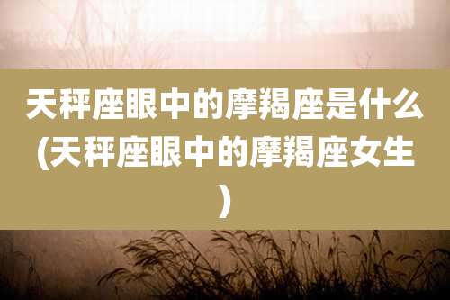 天秤座眼中的摩羯座是什么(天秤座眼中的摩羯座女生)