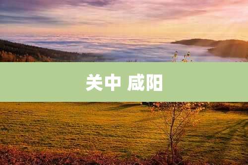关中 咸阳