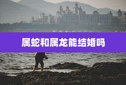 属蛇和属龙能结婚吗