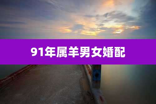 91年属羊男女婚配