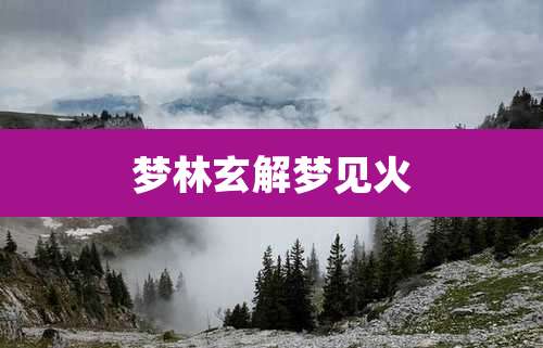 梦林玄解梦见火