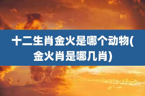 十二生肖金火是哪个动物(金火肖是哪几肖)