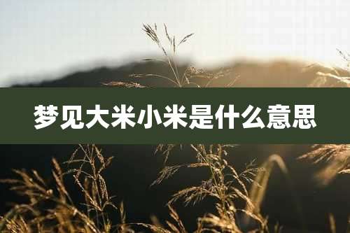 梦见大米小米是什么意思