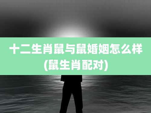 十二生肖鼠与鼠婚姻怎么样(鼠生肖配对)