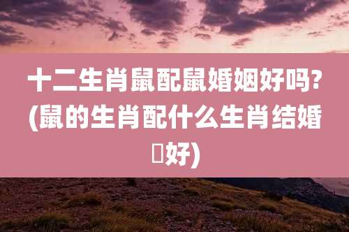 十二生肖鼠配鼠婚姻好吗?(鼠的生肖配什么生肖结婚晸好)