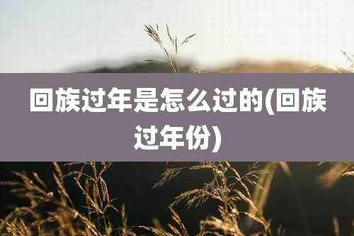 回族过年是怎么过的(回族过年份)