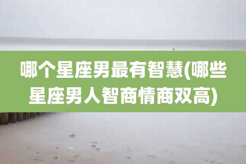 哪个星座男最有智慧(哪些星座男人智商情商双高)