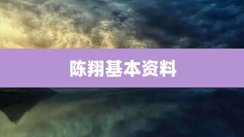陈翔基本资料