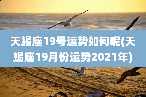 天蝎座19号运势如何呢(天蝎座19月份运势2021年)