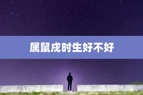 属鼠戍时生好不好