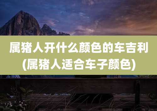 属猪人开什么颜色的车吉利(属猪人适合车子颜色)