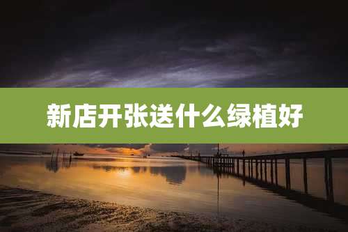 新店开张送什么绿植好