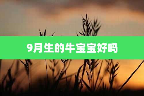 9月生的牛宝宝好吗