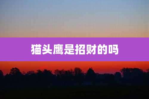 猫头鹰是招财的吗