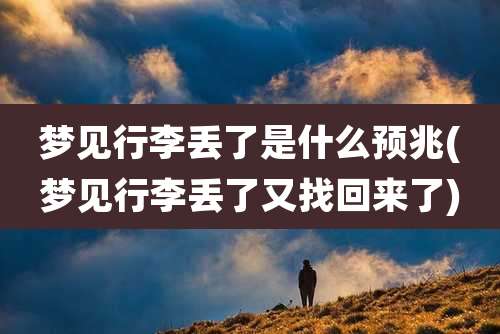 梦见行李丢了是什么预兆(梦见行李丢了又找回来了)