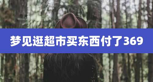 梦见逛超市买东西付了369