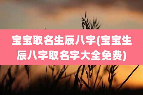 宝宝取名生辰八字(宝宝生辰八字取名字大全免费)