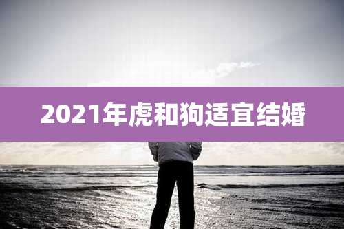 2021年虎和狗适宜结婚