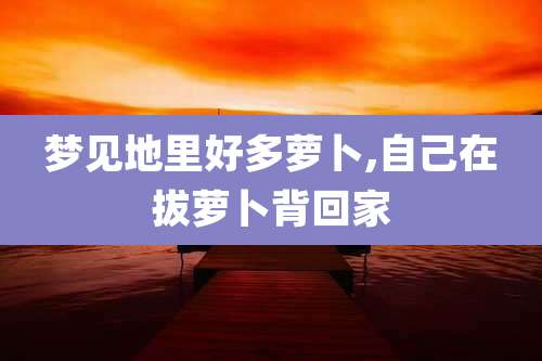 梦见地里好多萝卜,自己在拔萝卜背回家