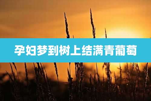 孕妇梦到树上结满青葡萄
