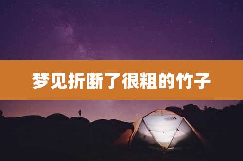 梦见折断了很粗的竹子